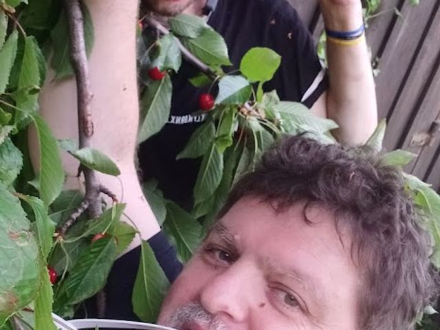 Le Gavroche Cueillette des cerises