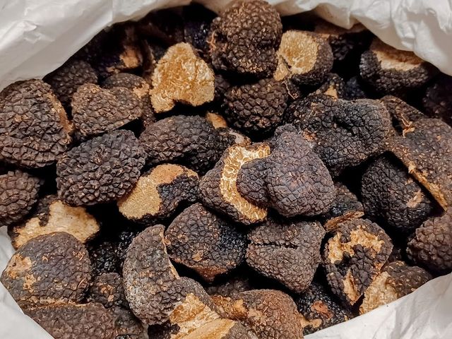 Le Gavroche Truffes fraîches de Pérouse à chaque saison